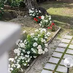 Casa Clementina Marciano