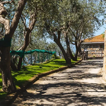 Bed & Breakfast Casa Clementina Marciano Massa Lubrense