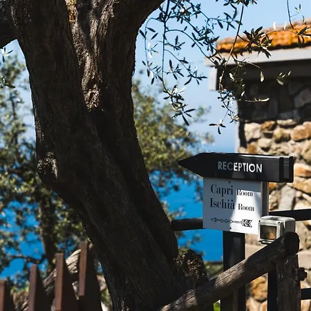 Bed & Breakfast Casa Clementina Marciano *