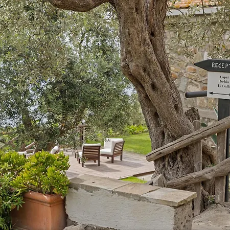 Casa Clementina Marciano Bed and breakfast *