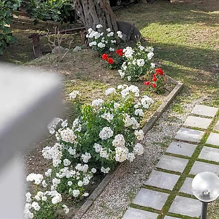 Casa Clementina Marciano 4*