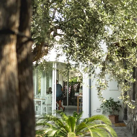 Casa Clementina Marciano Bed & Breakfast