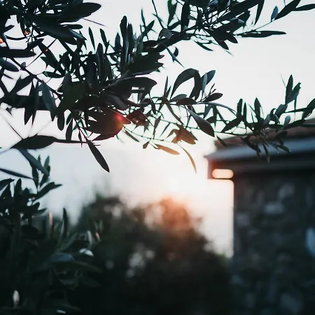 Casa Clementina Marciano Bed & Breakfast