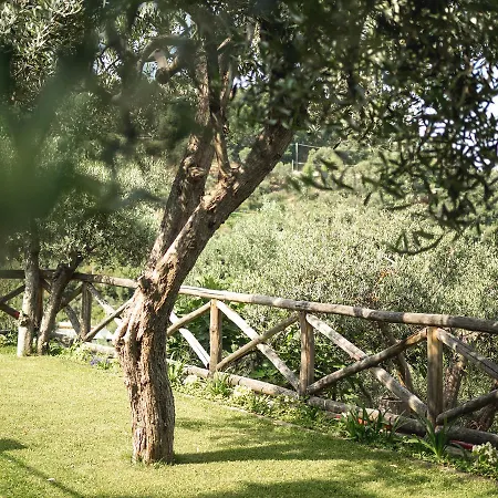 Casa Clementina Marciano Bed & Breakfast *